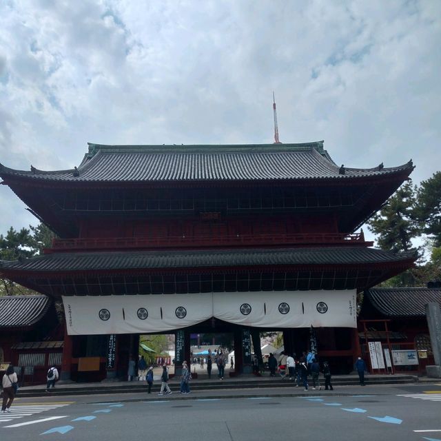 世界中の観光客を呼び寄せる桜の増上寺