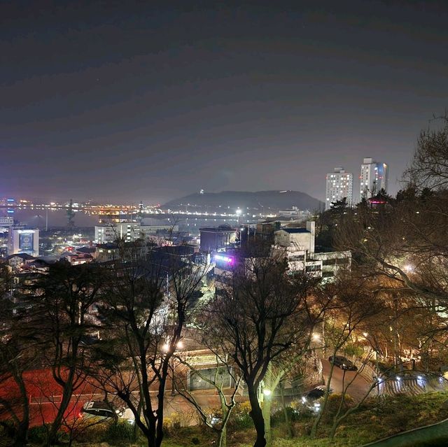 인천 벚꽃명소 수봉공원으로 가자