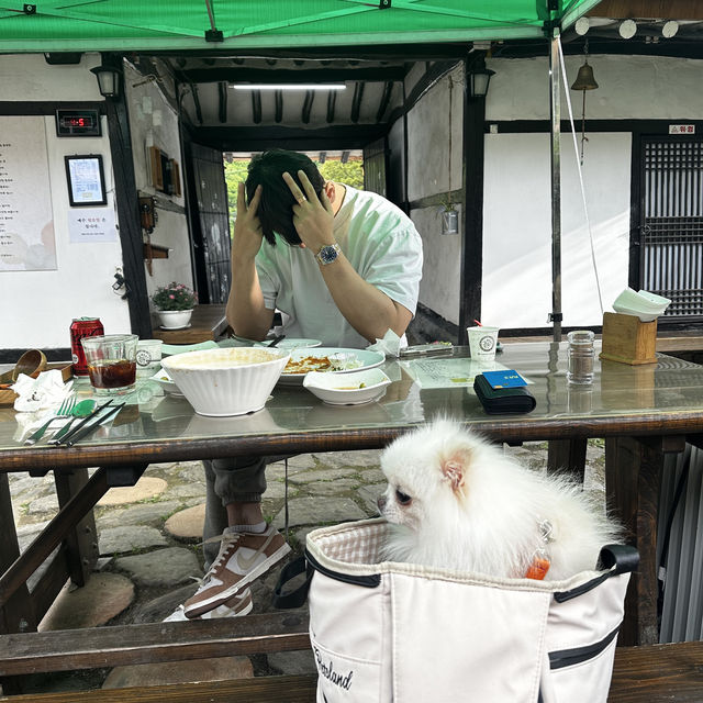 💚서울근교 여주 돈까스맛집 배꼽시계💚