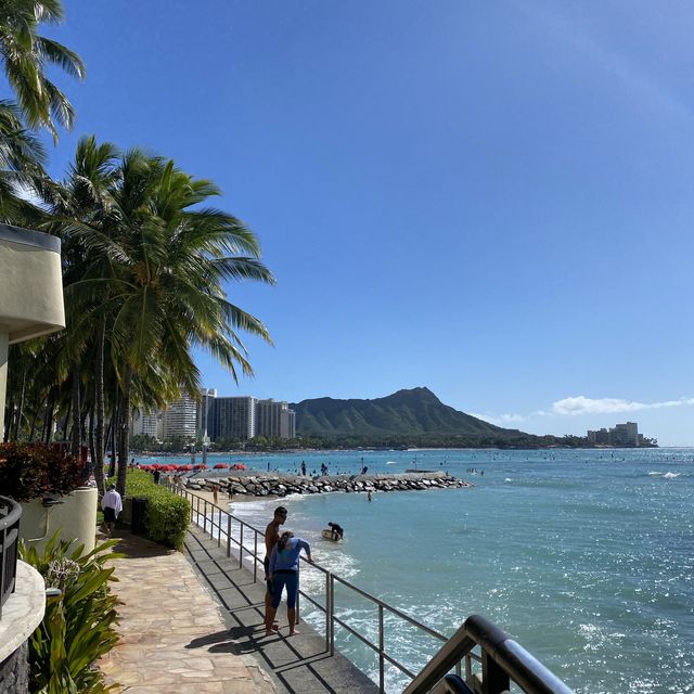 【南国】ハワイ🌺🏄‍♂️