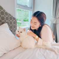 พิกัดที่พักพาน้องหมา น้องแมวเข้าพักได้ 🐕🐈