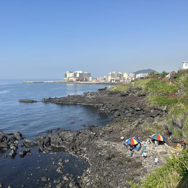 바다가 만든 용의 머리 🐲 제주 용두암