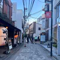 Shibuya Streets, a visual wonderland in Tokyo