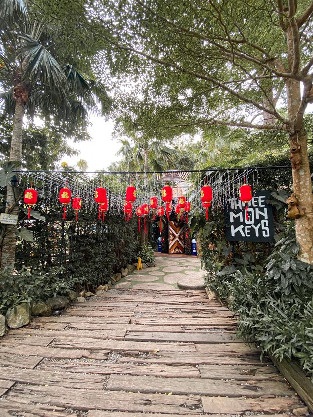 Prettiest Tree Top Café in Phuket 🇹🇭