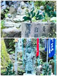 【山形県/出羽三山神社】2023年トライしてみてよかった！石段詣