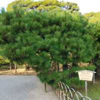 栗林公園　高松市