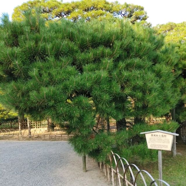 栗林公園　高松市