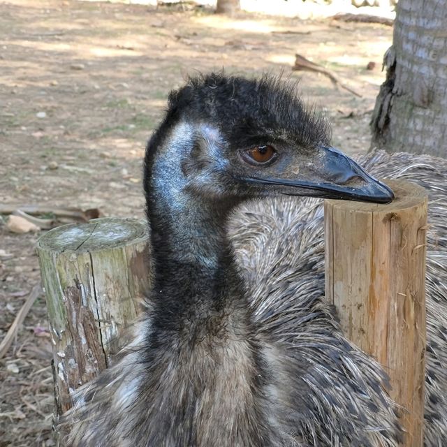 新竹動物園