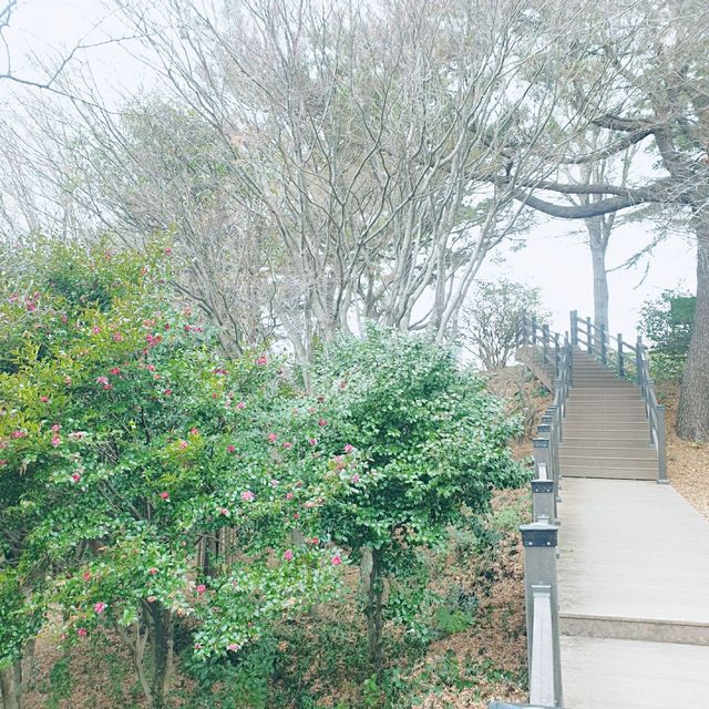 주민들의 운동장🚶‍♂️🚶‍♀️