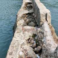一條具歷史價值仍保留不差之行人跨海石橋