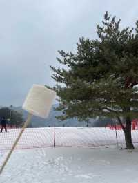 매년 오는 비발디파크⛷️ 올해는 함박눈을 곁들인..❄️