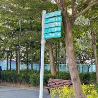 市區中寧靜‼️馬鞍山海濱長廊💕