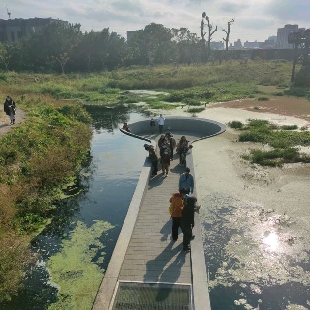 白天傍晚不同的美-雙溪濕地公園