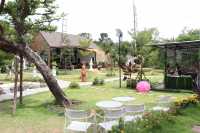 Wonderland cafe 