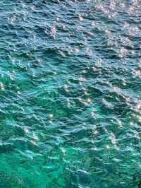 푸른 동해바다 바로 위에서 산책할 수 있는 해랑전망대 🌊🤍