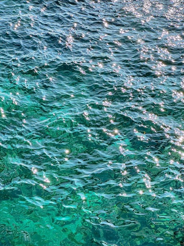 푸른 동해바다 바로 위에서 산책할 수 있는 해랑전망대 🌊🤍
