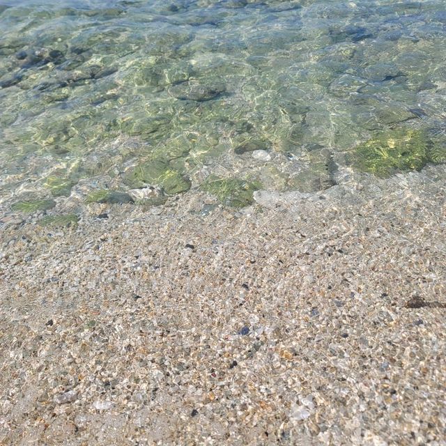 大迫力！美ら海水族館🐬