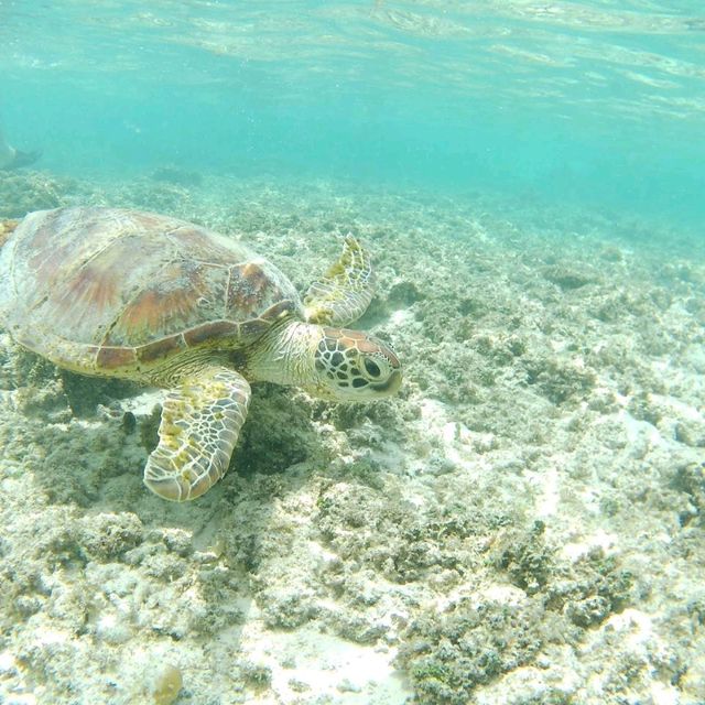 沖縄　波照間島