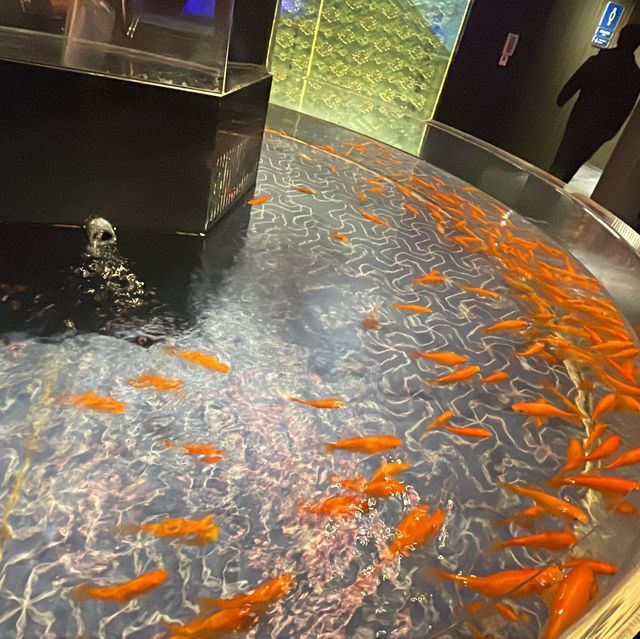 簡而精的墨田水族館