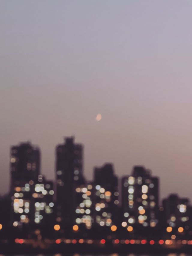 [서울여행] 사람 없는 노들섬 야경🌃