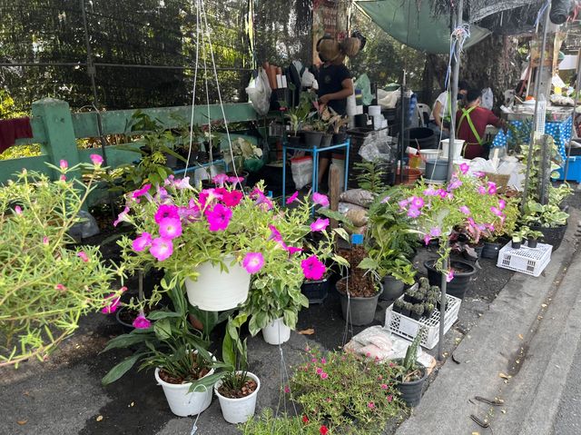 วันชิวๆ กับตลาดน้ำตลิ่งชัน