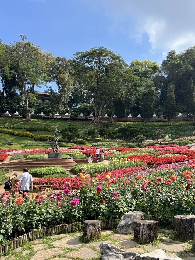 สวนดอกไม้สวยๆ ชมความงดงามบนยอดดอย