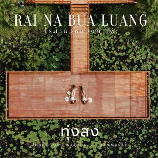 연꽃 농장 ... Thung Song, Nakhon Si Thammarat