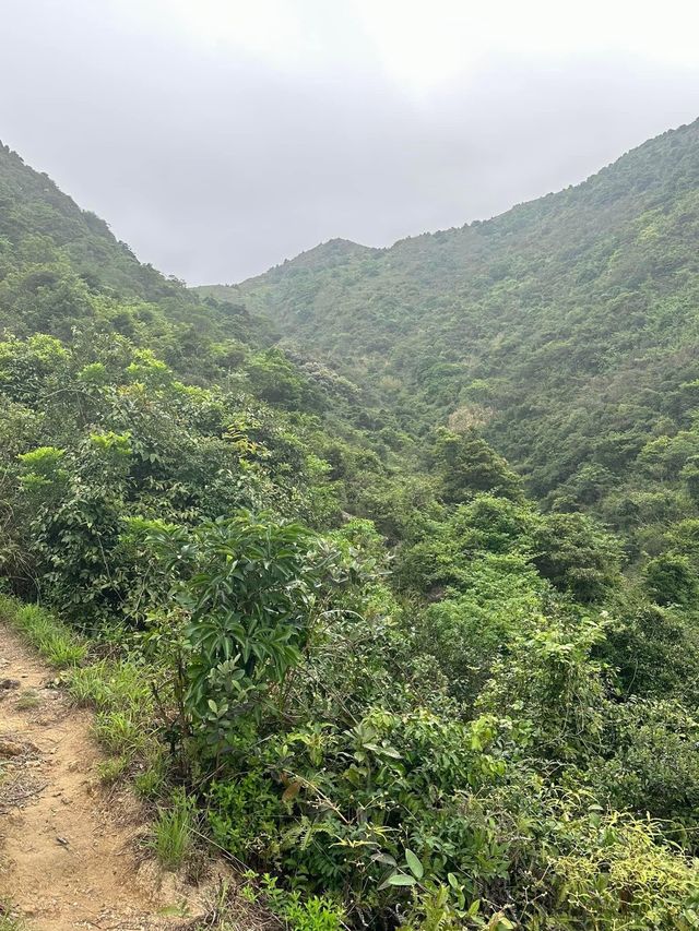 開心行山🏔️