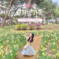 수선화명소 서산 유기방가옥