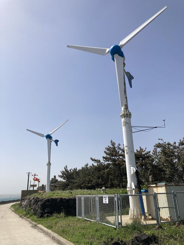 제주 섬에서 자전거 타는 낭만!