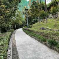 Montanha Russa Park Nature 