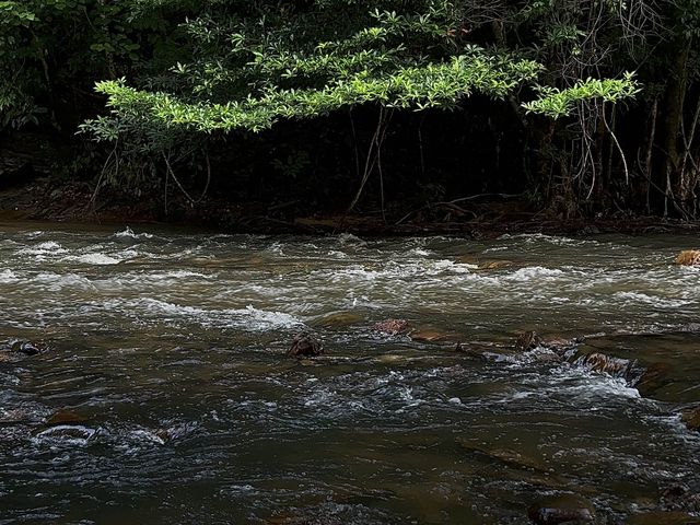 • ภูบรรทัด วัลเล่ย์ รีสอร์ท สตูล 🏕️🌿
