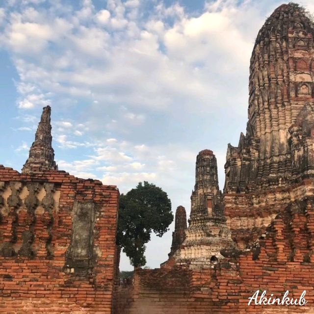 เดินชมความงามวัดไชยวัฒนาราม