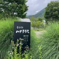 【ペットとお出かけ】河口湖の人気スポット「富士大石ハナテラス」