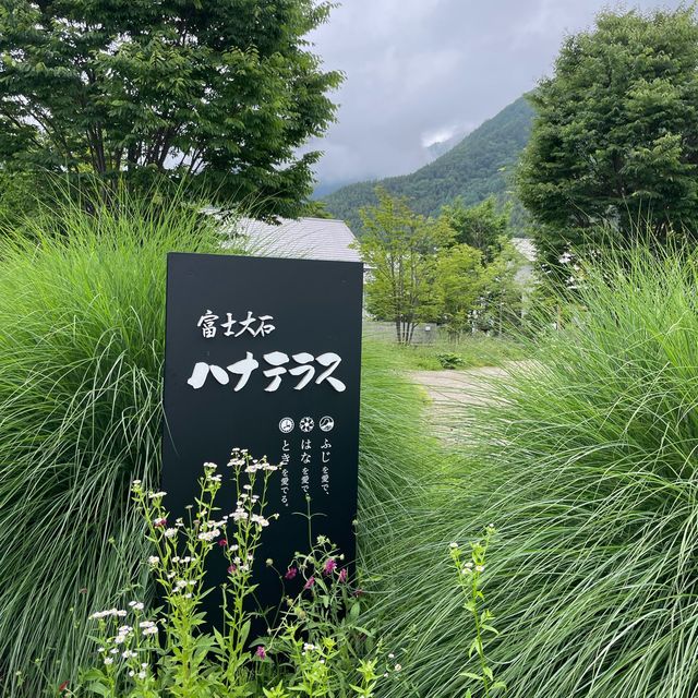 【ペットとお出かけ】河口湖の人気スポット「富士大石ハナテラス」