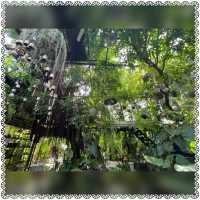 （泰國/曼谷）都市中的森林系🌳咖啡廳-The Kiln Studio