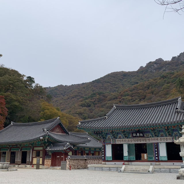 가을 단풍 여행의 명소, 내장사