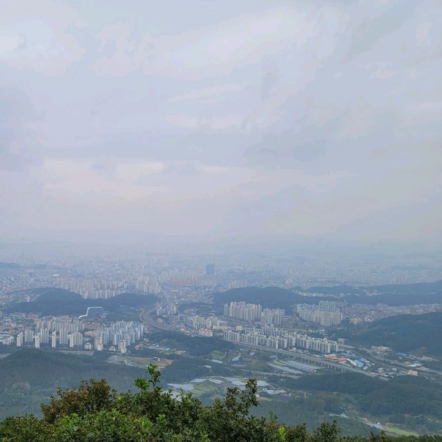 두근두근여름휴가 대전 식장산 해돋이전망대