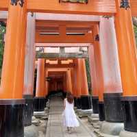 京都 1度は訪れたいオススメSPOT！