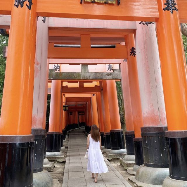 京都 1度は訪れたいオススメSPOT！
