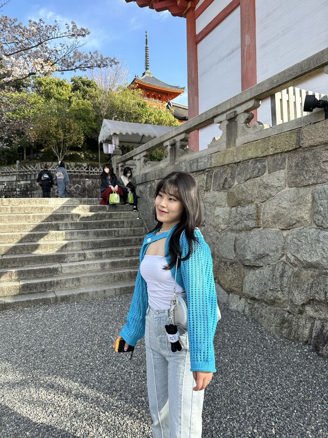 교토 청수사에서 벚꽃 볼 사람!🌸