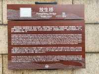 【上海】朱家角古鎮景區 | 放生橋 