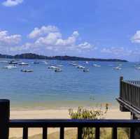 🎉 樟宜木板路 🌊 海濱步道 🏖