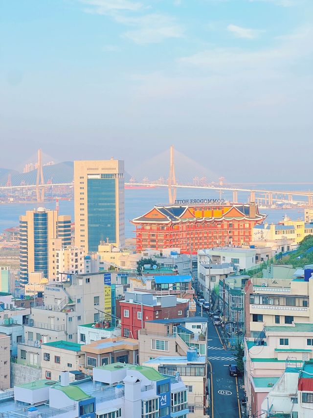 알록달록 부산 도심 뷰 테라스 카페 💜 