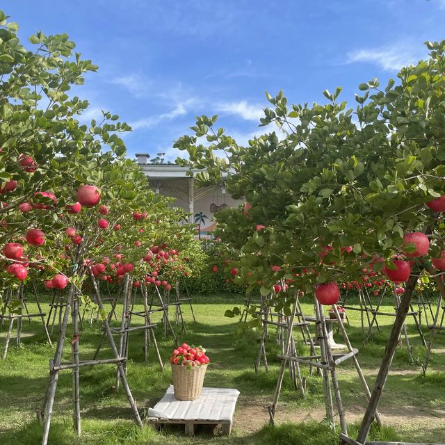 Papa Beach Pattaya:คาเฟ่สวนแอปเปิ้ล เกาหลีที่พัทยา