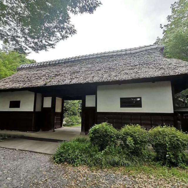 時光穿梭！鄉土之森博物館感受懷舊風情！🏞️🏚️🌸