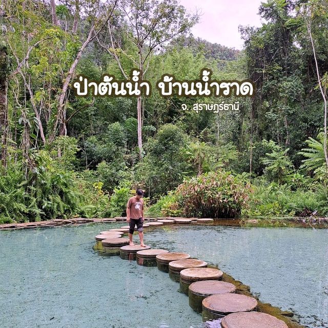 ป่าต้นน้ำ บ้านน้ำราด จังหวัดสุราษฎร์ธานี