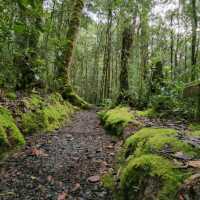 Amazing stay at Sutera Sanctuary Lodges Kinabalu Park