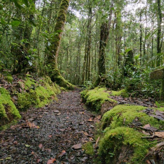 Amazing stay at Sutera Sanctuary Lodges Kinabalu Park