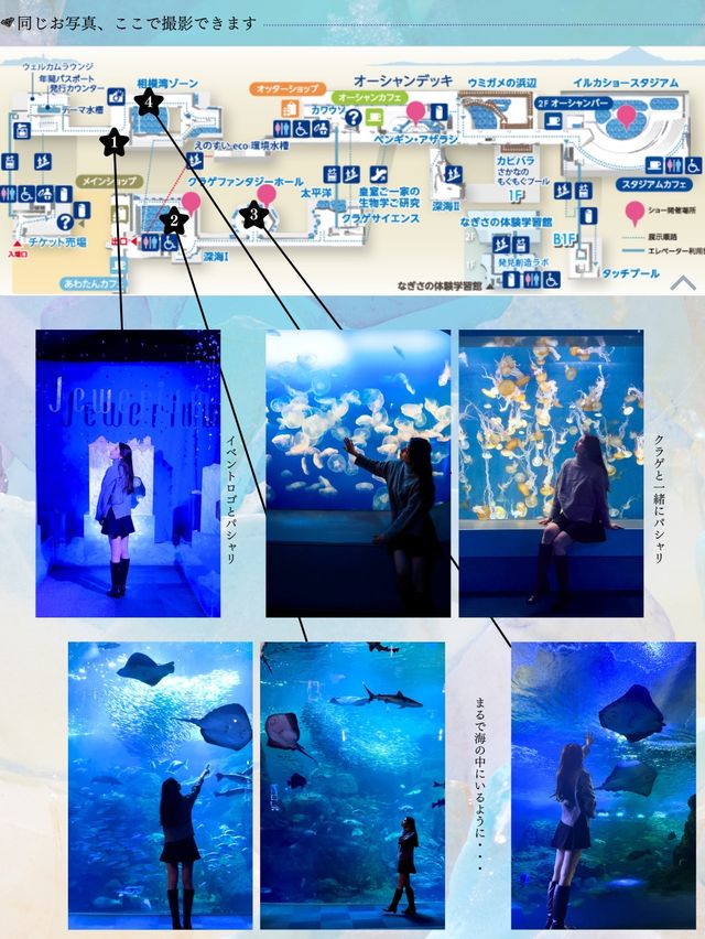 【江ノ島】海の中にいるような写真を撮ろう！キラキライベントも開催中🪼🩵💎